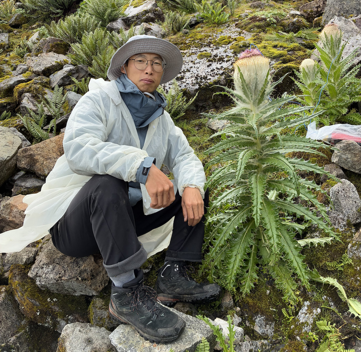 Tao Feng